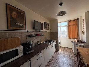 3 camere decomandat | Teiul Doamnei | Pet-friendly - imagine 5