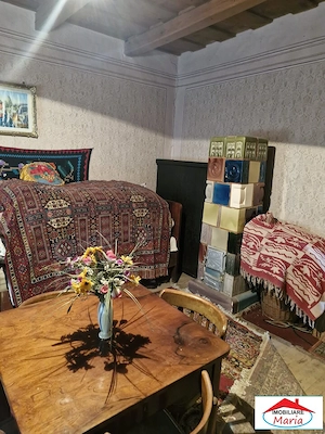 Casa in Unimat comuna Acas cu teren - imagine 5