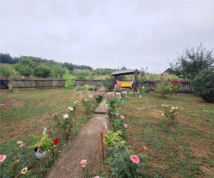 Casa 145 mp utili + 3.000 mp teren cu livada si vie – zona Magura Crihan - imagine 13