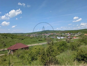 Oportunitate de investiție – teren intravilan în zona Valea Sigmirului - imagine 2