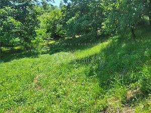 Teren intravilan 960 mp, zona Hemeius - imagine 11