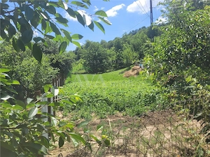 Teren intravilan 960 mp, zona Hemeius - imagine 4