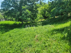 Teren intravilan 960 mp, zona Hemeius