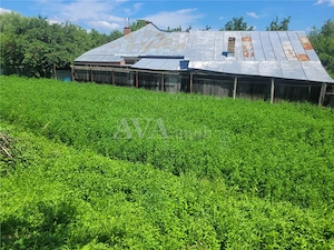Teren intravilan 960 mp, zona Hemeius - imagine 7