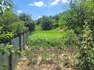 Teren intravilan 960 mp, zona Hemeius - imagine 12