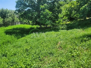 Teren intravilan 960 mp, zona Hemeius - imagine 10