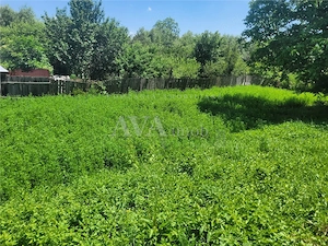 Teren intravilan 960 mp, zona Hemeius - imagine 8
