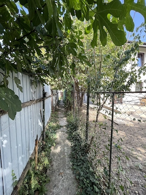 Casă de vânzare   3 camere, teren 123 mp, toate utilitățile - imagine 2