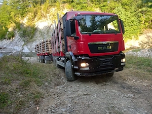 Camion Forestier Man TGS 28.440 4x6 macara epsilon  - imagine 10