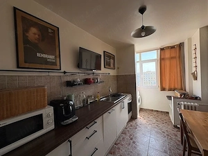 3 camere decomandat | Teiul Doamnei | Pet-friendly - imagine 3