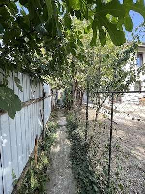 Casă de vânzare 3 camere, teren 123 mp, toate utilitățile - imagine 2