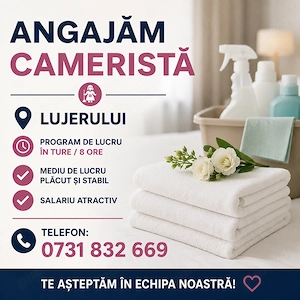 SIR Lujerului angajează camerista