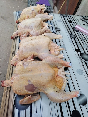 Pui de carne