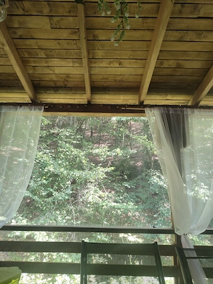 Cabana în zona de pădure. - imagine 5