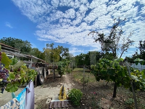 Casa de vanzare, 70 mp, 1079 mp teren, front de 18m, Timisoara Fratelia - imagine 2