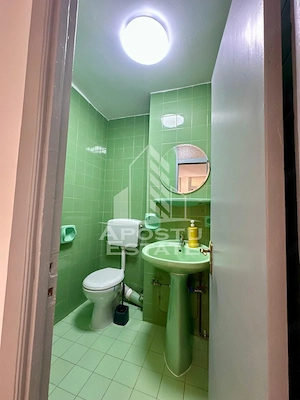 Apartament cu 3 camere de închiriat , ,Complex,Timisoara - imagine 11