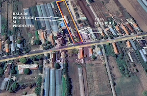Hală producție Ambalaje Carton și casă locuibilă la 25km de București - imagine 5