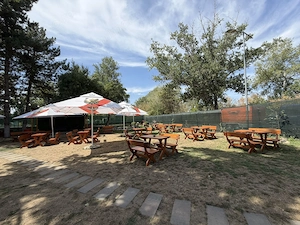 Afacere la cheie pe Strandul Neptun: restaurant, terasa, sala de evenimente - imagine 4