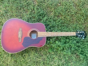 chitara acustica Ibanez SGT120E