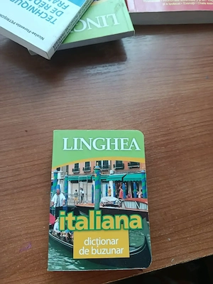 Dictionar de buzunar limba italiana 