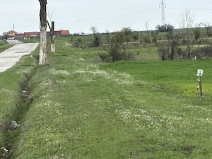 Teren 2500mp Bucovat -sat Sarbatoarea (12 km din Craiova) 