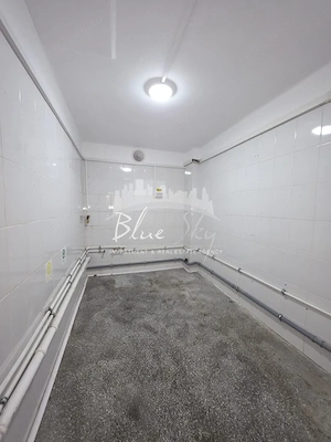 Zona Tomis 3- Bd . Tomis, spatiu comercial 65 mp - imagine 12