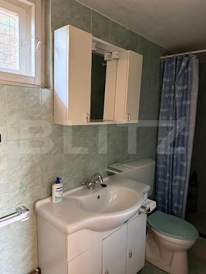 Casa individuala, 65 mp, teren 1800 mp, zona Izvorul Crisului - imagine 7