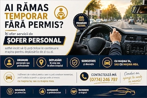 Sofer personal - Ai rămas fără permis de conducere? Ai nevoie de un șofer personal pentru familie ?