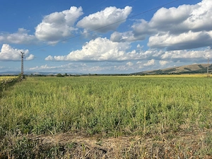 Teren extravilan 7,33 ha - imagine 5