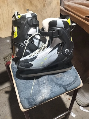 Patine iarnă