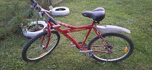 bicicleta first bike