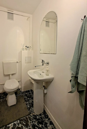 Inchiriez apartament 3 camere 2 băi decomandate în Tudor Fortuna - imagine 9