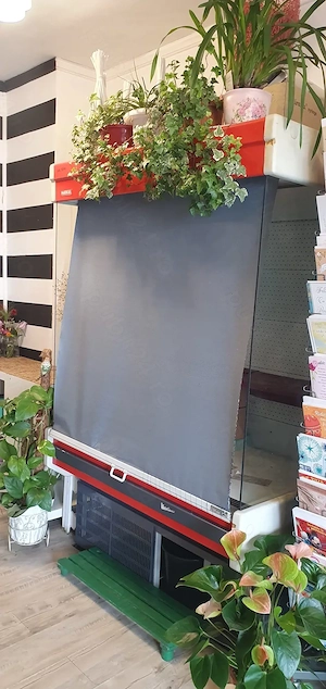 Vitrina frigorifica perdea aer, flori, alimente