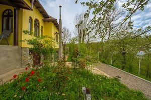 Provita de Sus, Prahova, Casa renovata, Comision 0 % - imagine 6