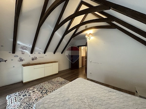 Casă elegantă și complet renovată str. Anton Pann - imagine 9