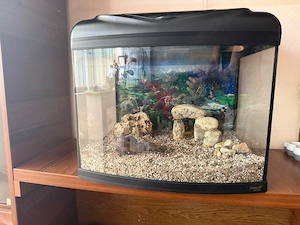 Vand acvariu Hailea 60L + echipamente si accesorii multiple