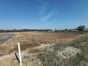 Teren Magurele, localitatea Pruni intravilan