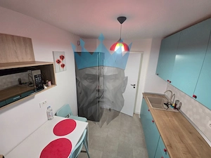  Apartament 3 Camere Crangasi Bucuresti - imagine 8