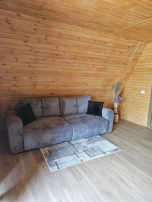cabana a-frame brasov  - imagine 5
