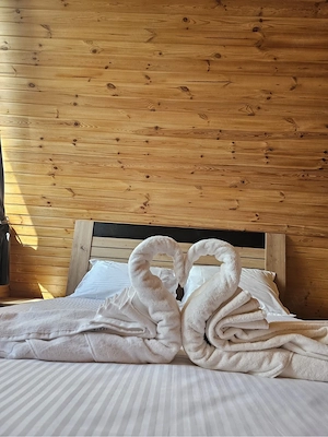 cabana a-frame brasov  - imagine 2