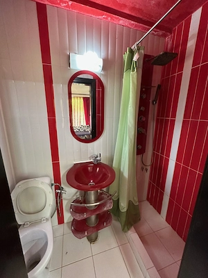 DUPLEX LA INTRARE IN MOSNITA NOUA - imagine 4
