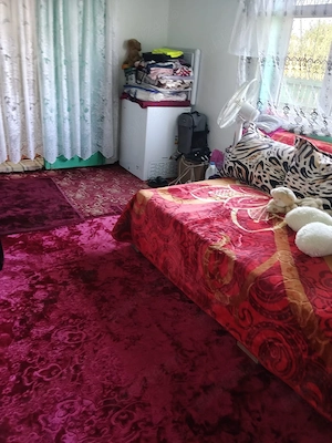 Casa de vanzare , 4 camere ,2 holuri ( mobilata ) - imagine 5