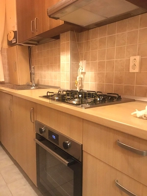 Victor Babes| 2 camere| centrala proprie| AC| etaj 1 - imagine 9