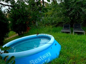 Casa pe parter cu teren 480 mp si pod mansardabil-Darmanesti, zona Adridan - imagine 16
