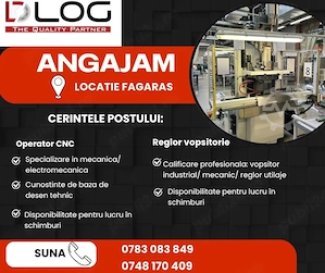 Angajam reglor linie vopsitorie in Fagaras