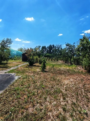 Casa de vanzare, 43 mp, teren 405 mp, Filiasi - imagine 10