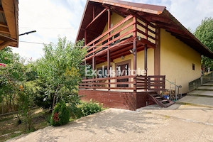 Doua CASE in aceeasi curte–BABANA, ARGEȘ | 1.485 MP TEREN - imagine 2