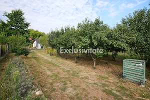 Doua CASE in aceeasi curte–BABANA, ARGEȘ | 1.485 MP TEREN - imagine 20