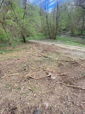 Teren de vânzare în suprafață de 5.5 ha  - imagine 5