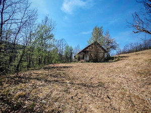 Teren de vânzare în suprafață de 5.5 ha  - imagine 3